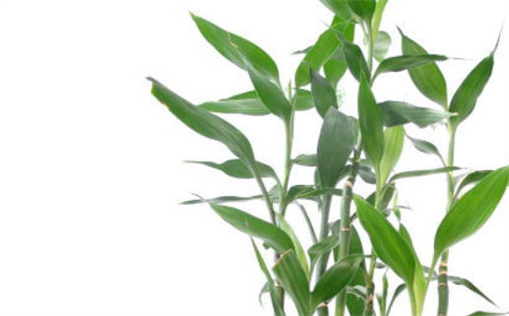 2026年05月07日乔迁好不好 宜乔迁吉日查询